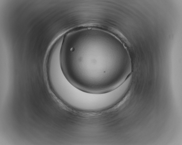 X0000113311122200909281119