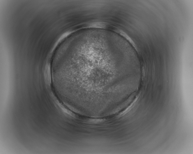 X0000113311123200909281119