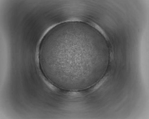 X0000113311124200909281119