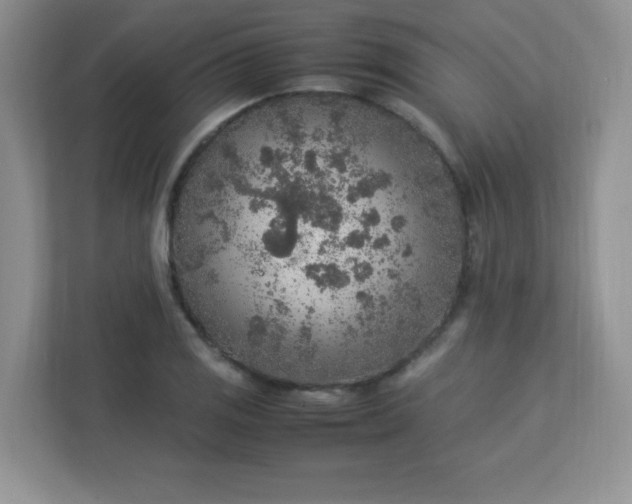 X0000113311125200909281119