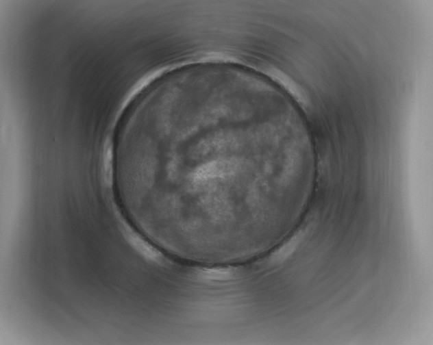 X0000113311126200909281119