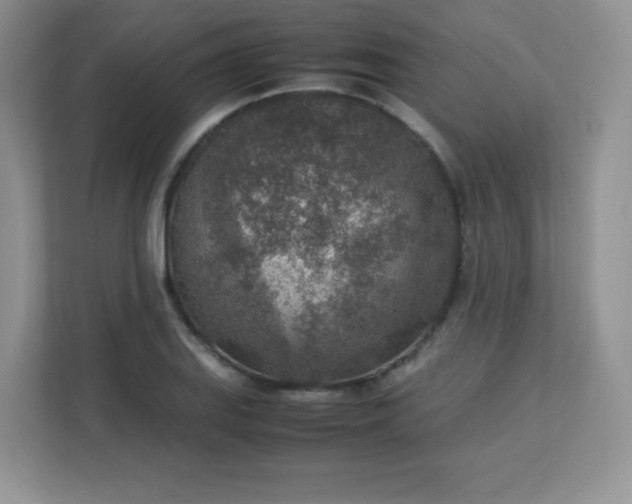 X0000113311127200909281119