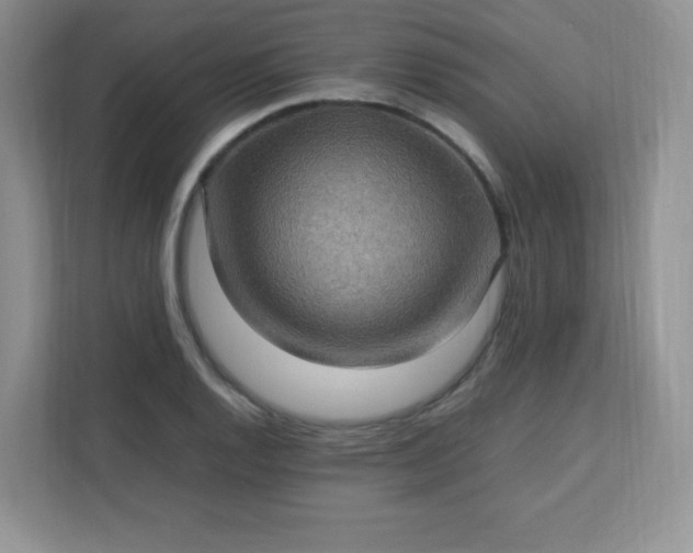 X0000113311128200909281119