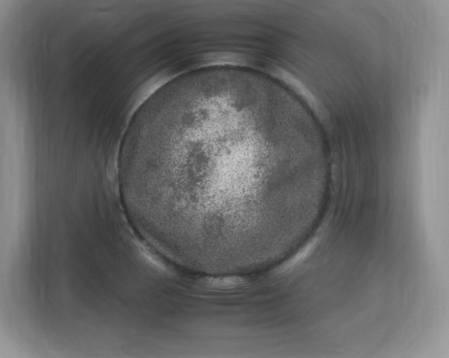 X0000113311129200909281119