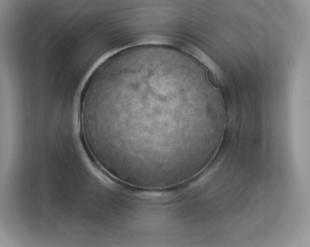 X0000113311132200909281119