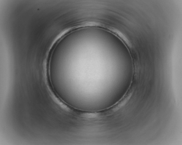 X0000113311134200909281119