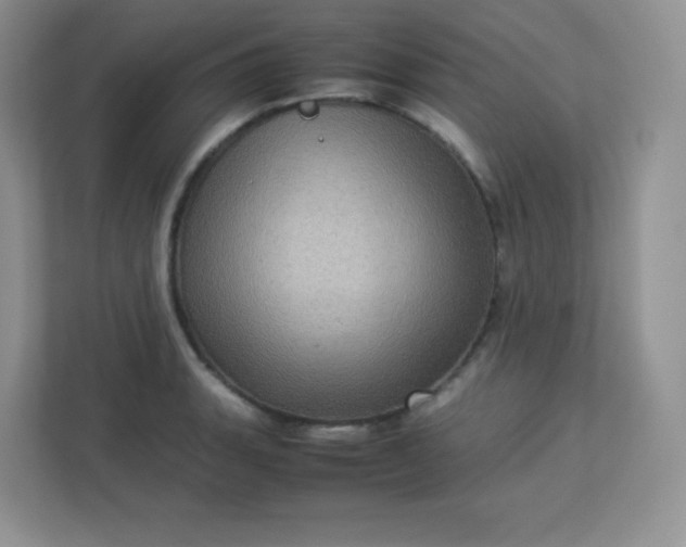 X0000113311135200909281119