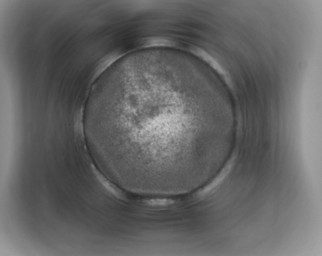 X0000113311137200909281119