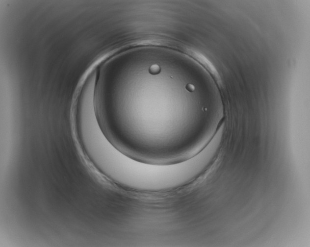 X0000113311138200909281119