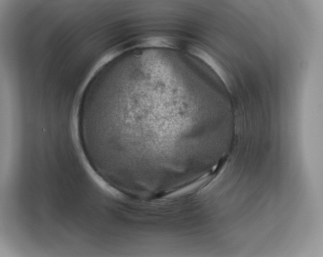 X0000113311139200909281119