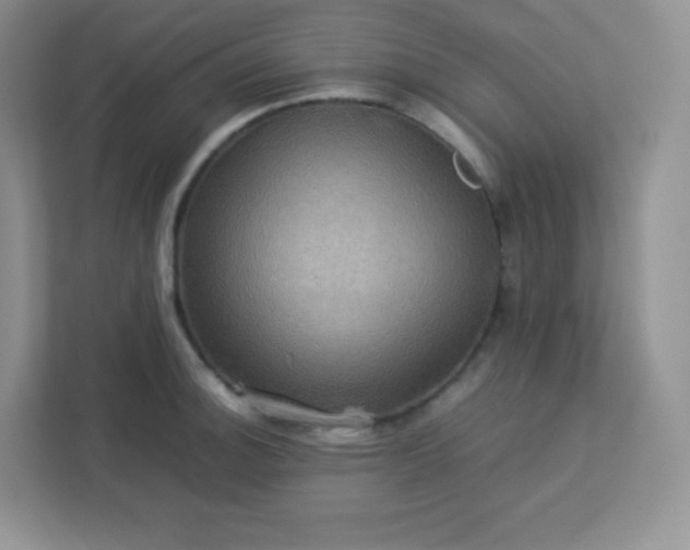 X0000113311140200909281119