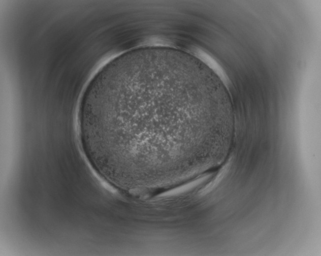 X0000113311141200909281119