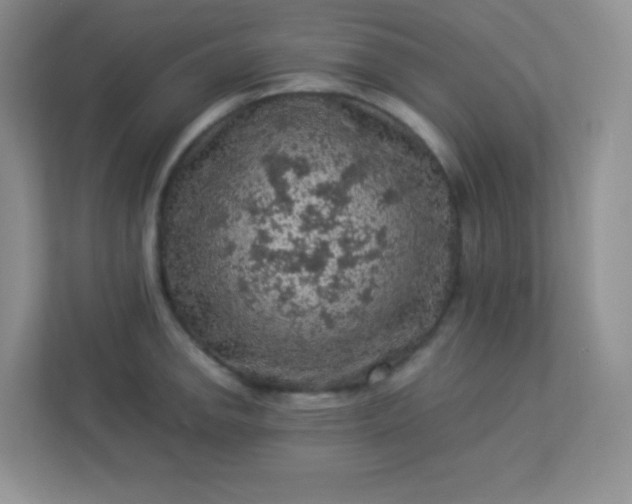 X0000113311142200909281119