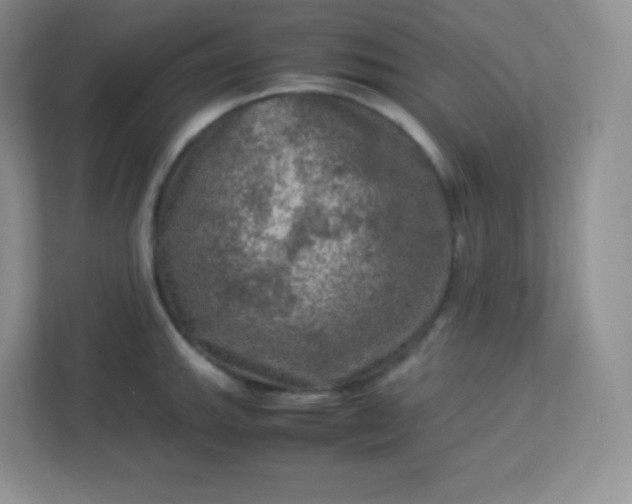 X0000113311143200909281119