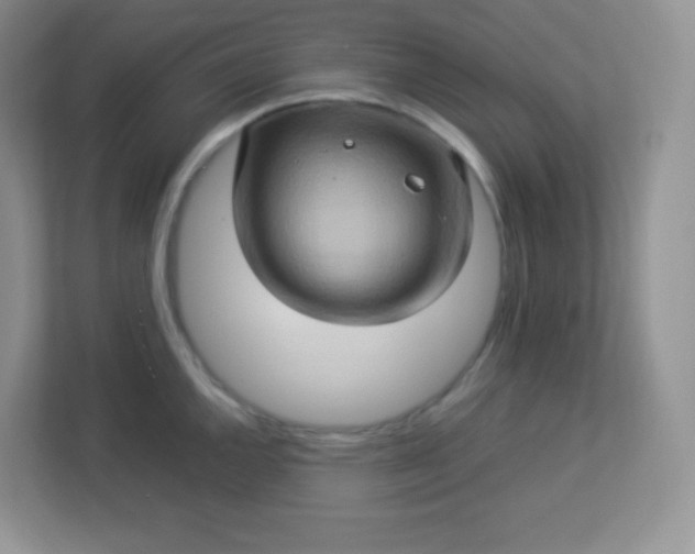 X0000113311144200909281119