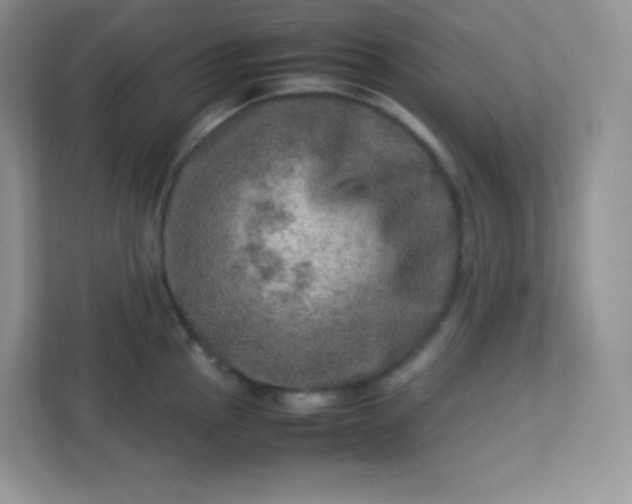 X0000113311145200909281119