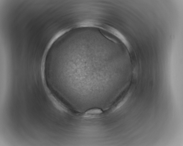 X0000113311146200909281119