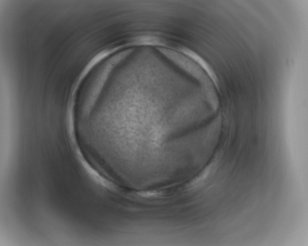 X0000113311147200909281119