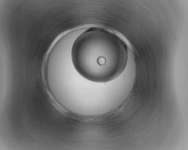 X0000113311148200909281119