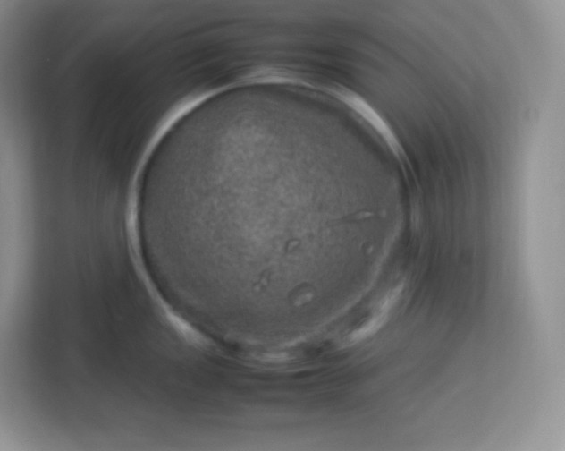 X0000113311149200909281119