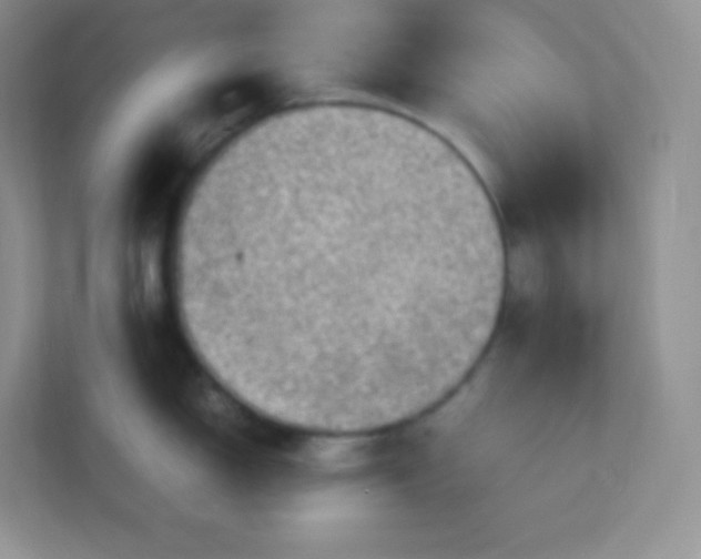 X0000113311150200909281119