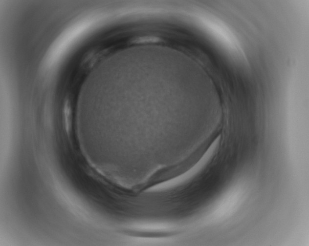 X0000113311151200909281119