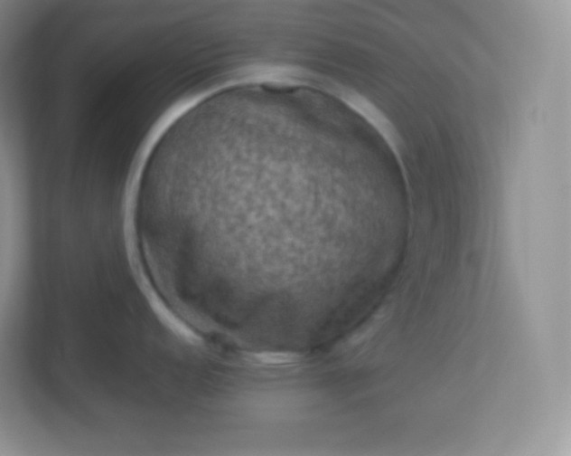 X0000113311152200909281119