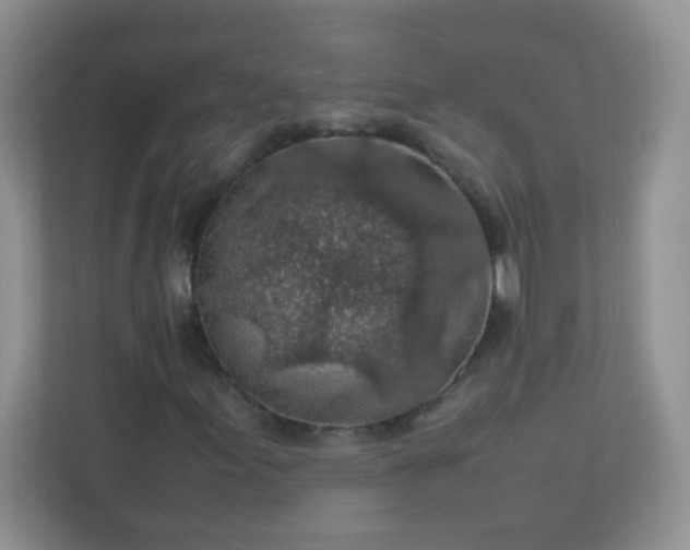 X0000113311155200909281119