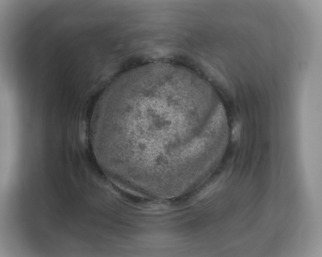 X0000113311156200909281119