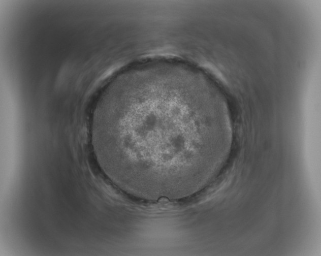 X0000113311159200909281119