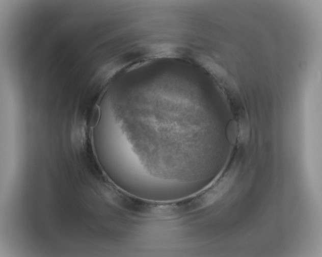 X0000113311161200909281119