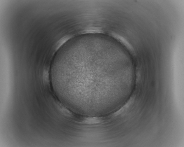 X0000113311162200909281119