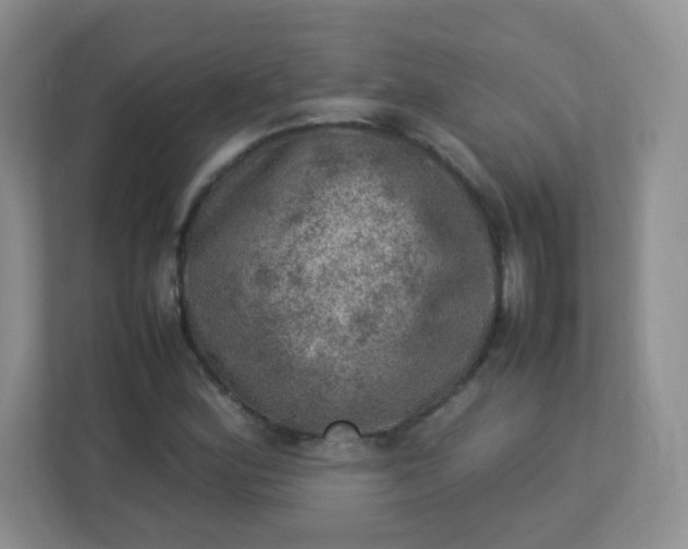 X0000113311164200909281119