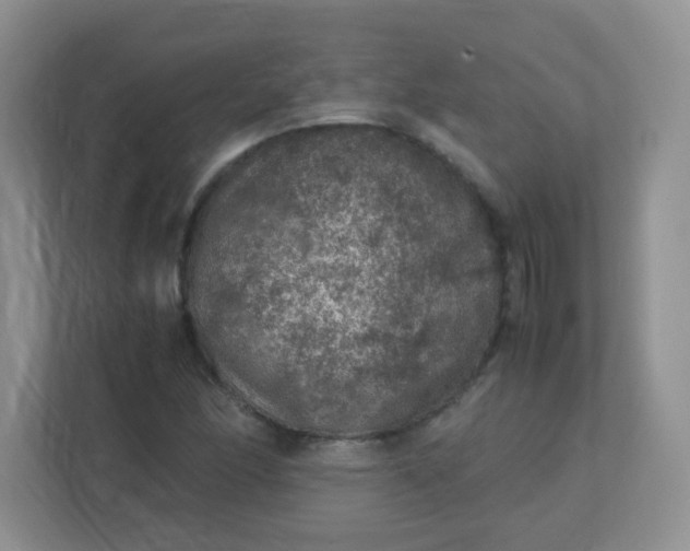 X0000113311166200909281119