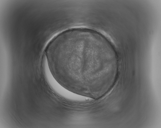 X0000113311167200909281118