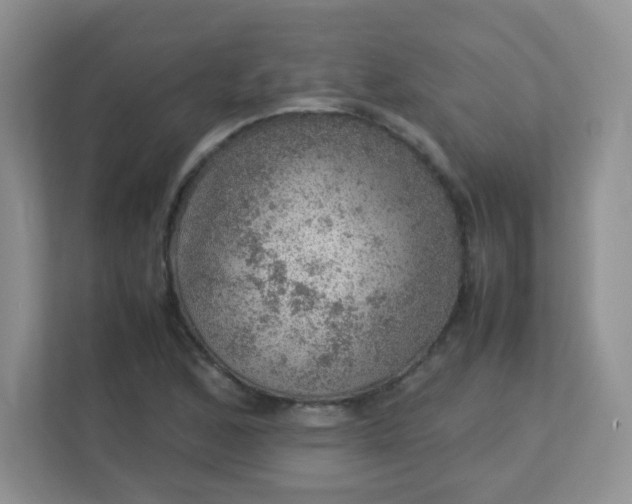 X0000113311168200909281118