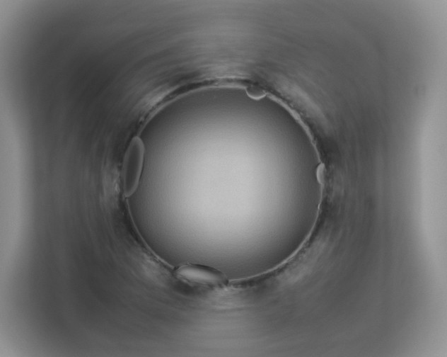 X0000113311169200909281118