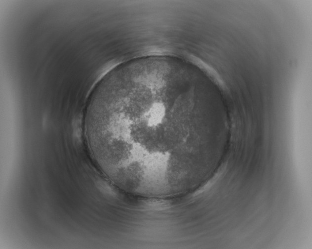 X0000113311170200909281118