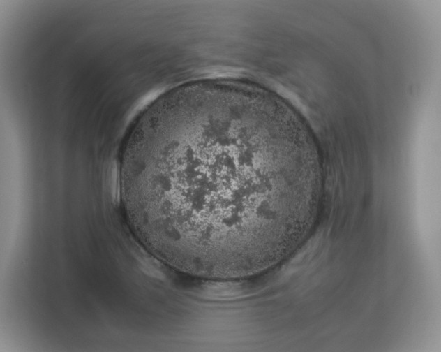 X0000113311171200909281118