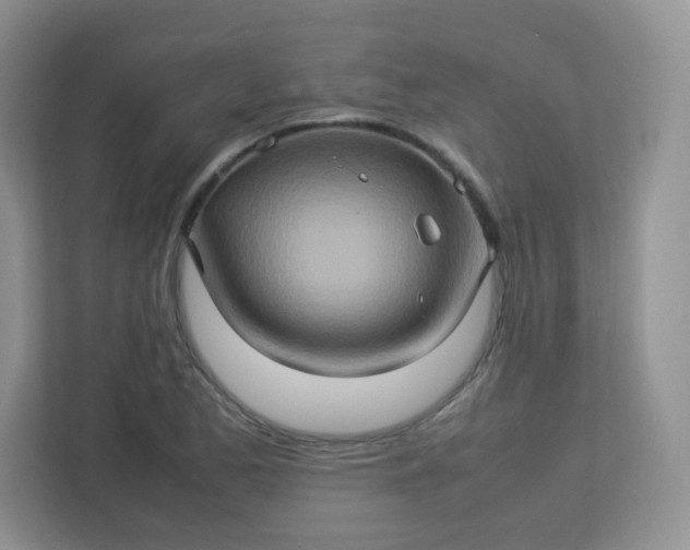 X0000113311173200909281118