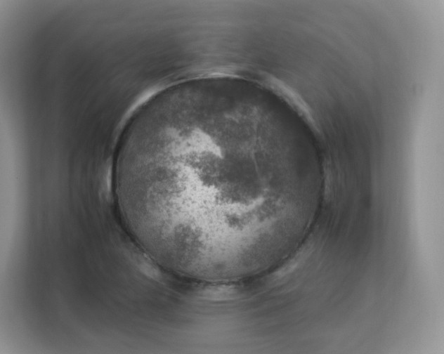 X0000113311174200909281118