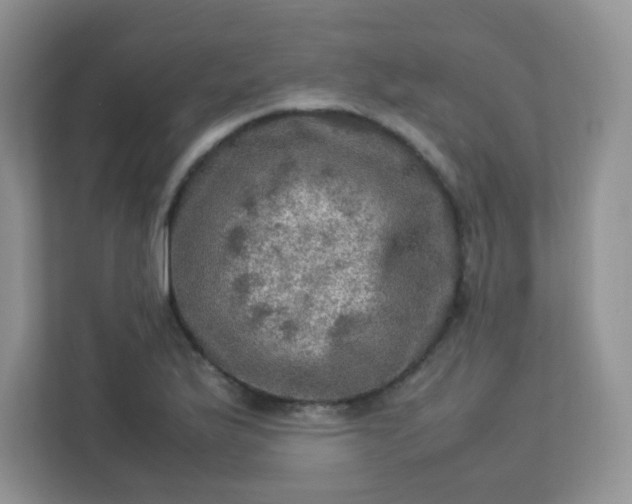 X0000113311175200909281118