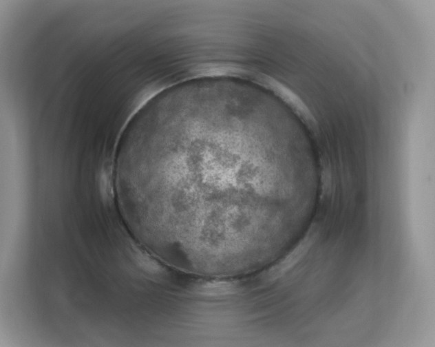 X0000113311178200909281118