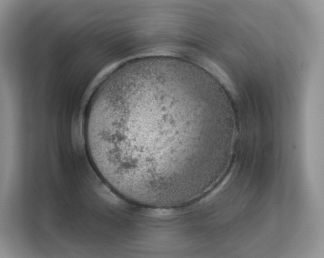 X0000113311180200909281118