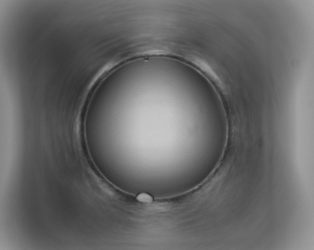 X0000113311181200909281118