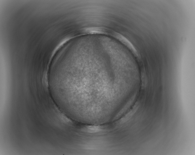 X0000113311182200909281118