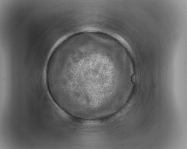 X0000113311183200909281118