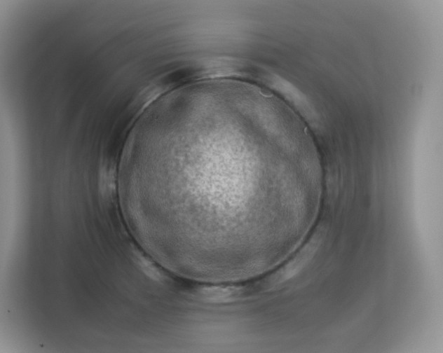 X0000113311185200909281118