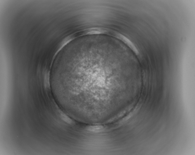 X0000113311186200909281118