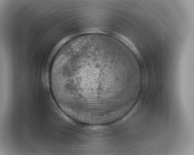 X0000113311188200909281118